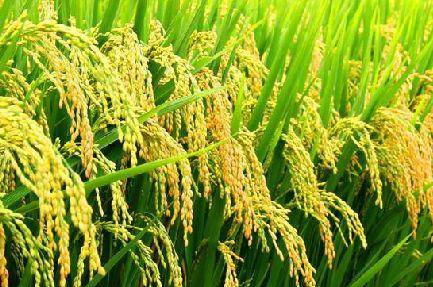 好產(chǎn)品，溯源碼訴說(shuō)；高品質(zhì)，細(xì)節(jié)中彰顯