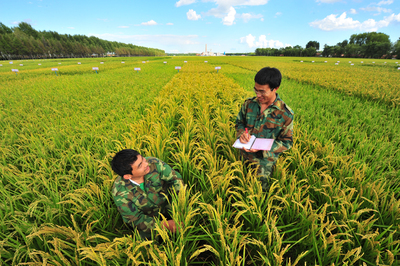 北大荒 青春好年華 蓄勢(shì)再揚(yáng)帆——寫在黑龍江墾區(qū)開發(fā)建設(shè)七十周年之際